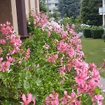 La Dama Dei Fiori