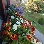 Appartement La Dama Dei Fiori
