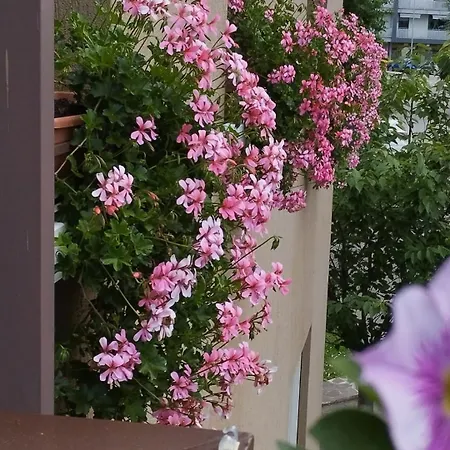 La Dama Dei Fiori Apartment *