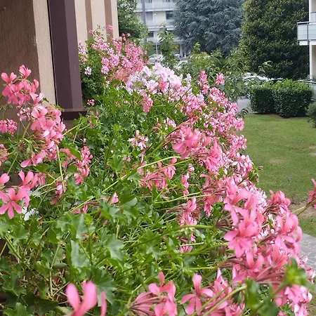 La Dama Dei Fiori