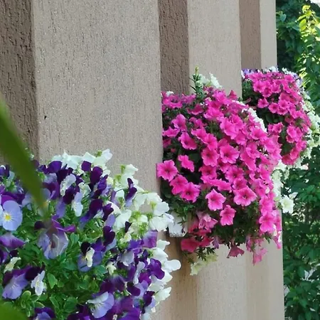 La Dama Dei Fiori