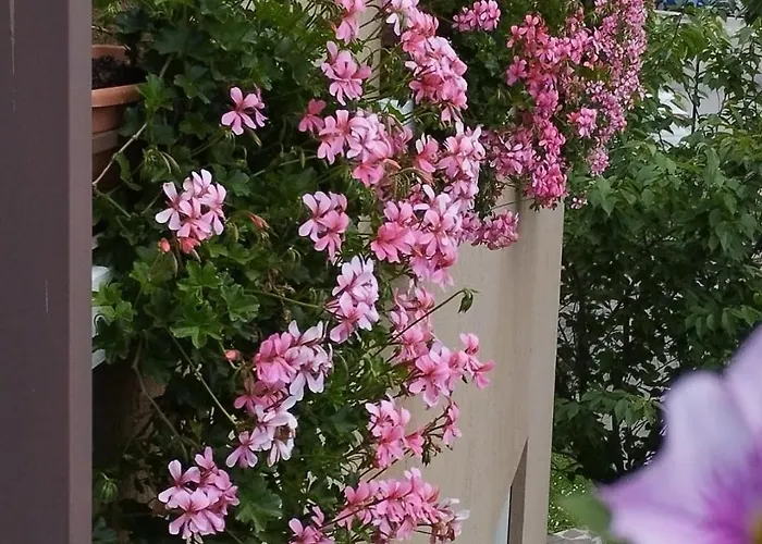 La Dama Dei Fiori Apartment *