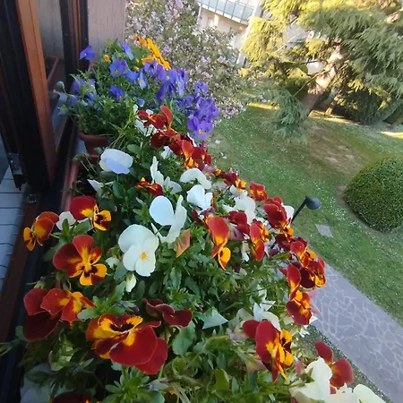 Apartmán La Dama Dei Fiori